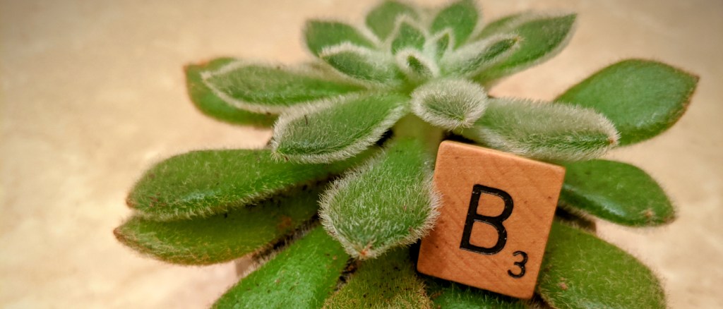 Brainstorming: When Your Brain Isn’t&nbsp;Cooperating